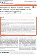 Cover page: Motor neuron-derived Thsd7a is essential for zebrafish vascular development via the Notch-dll4 signaling pathway