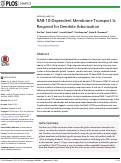 Cover page: RAB-10-Dependent Membrane Transport Is Required for Dendrite Arborization