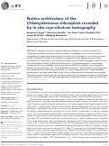 Cover page: Native architecture of the Chlamydomonas chloroplast revealed by in situ cryo-electron tomography
