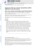 Cover page: Suppression of PGC-1α Is Critical for Reprogramming Oxidative Metabolism in Renal Cell Carcinoma.