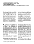 Cover page: Anillin, a contractile ring protein that cycles from the nucleus to the cell cortex.