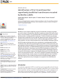 Cover page: Identification of the S-transferase like superfamily bacillithiol transferases encoded by Bacillus subtilis