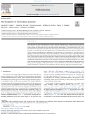 Cover page: Development of the human prostate.