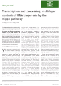 Cover page: Transcription and processing: multilayer controls of RNA biogenesis by the Hippo pathway