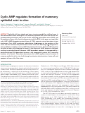 Cover page: Cyclic AMP regulates formation of mammary epithelial acini in vitro