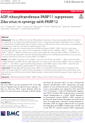 Cover page: ADP-ribosyltransferase PARP11 suppresses Zika virus in synergy with PARP12