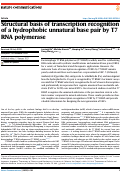 Cover page: Structural basis of transcription recognition of a hydrophobic unnatural base pair by T7 RNA polymerase.