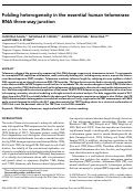 Cover page: Folding heterogeneity in the essential human telomerase RNA three-way junction