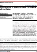 Cover page: Identification of global inhibitors of cellular glycosylation.
