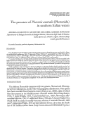 Cover page: The presence of <i>Phoronis australis</i> (Phoronida) in southern Italian waters