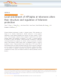 Cover page: Local enrichment of HP1alpha at telomeres alters their structure and regulation of telomere protection