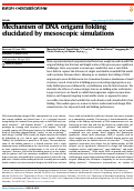 Cover page: Mechanism of DNA origami folding elucidated by mesoscopic simulations.