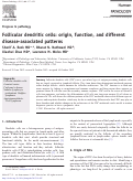 Cover page: Follicular dendritic cells: origin, function, and different disease-associated patterns.