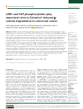 Cover page: LKB1 and YAP phosphorylation play important roles in Celastrol-induced β-catenin degradation in colorectal cancer