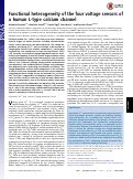 Cover page: Functional heterogeneity of the four voltage sensors of a human L-type calcium channel