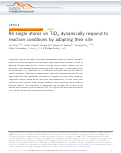 Cover page: Rh single atoms on TiO2 dynamically respond to reaction conditions by adapting their site