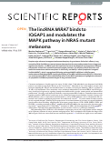 Cover page: The lincRNA MIRAT binds to IQGAP1 and modulates the MAPK pathway in NRAS mutant melanoma