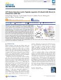 Cover page: GTP-State-Selective Cyclic Peptide Ligands of K‑Ras(G12D) Block Its Interaction with Raf