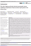 Cover page: The role of aging and brain-derived neurotrophic factor signaling in expression of base excision repair genes in the human brain.