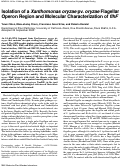 Cover page: Isolation of a Xanthomonas oryzae pv. oryzae flagellar operon region and molecular characterization of flhF.