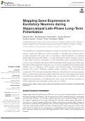 Cover page: Mapping Gene Expression in Excitatory Neurons during Hippocampal Late-Phase Long-Term Potentiation