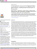 Cover page: Transcriptomic resources for Bagrada hilaris (Burmeister), a widespread invasive pest of Brassicales.