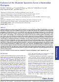 Cover page: Evolution of the Mutation Spectrum Across a Mammalian Phylogeny.