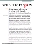 Cover page: Dental enamel cells express functional SOCE channels