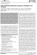 Cover page: DNA‐Scaffolded Multivalent Ligands to Modulate Cell Function