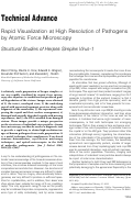 Cover page: Rapid Visualization at High Resolution of Pathogens by Atomic Force Microscopy Structural Studies of Herpes Simplex Virus-1