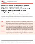 Cover page: Integrative human atrial modelling unravels interactive protein kinase A and Ca2+/calmodulin-dependent protein kinase II signalling as key determinants of atrial arrhythmogenesis