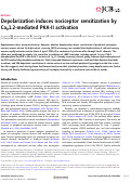 Cover page: Depolarization induces nociceptor sensitization by CaV1.2-mediated PKA-II activation