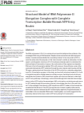 Cover page: Structural Model of RNA Polymerase II Elongation Complex with Complete Transcription Bubble Reveals NTP Entry Routes