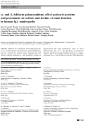 Cover page: α- and β-Adducin polymorphisms affect podocyte proteins and proteinuria in rodents and decline of renal function in human IgA nephropathy