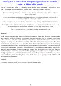 Cover page: Investigation of surface effects through the application of the functional binders in lithium sulfur batteries