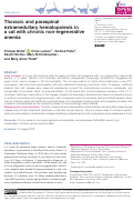 Cover page: Thoracic and paraspinal extramedullary hematopoiesis in a cat with chronic non-regenerative anemia