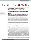 Cover page: PAFAH1B1 haploinsufficiency disrupts GABA neurons and synaptic E/I balance in the dentate gyrus