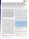 Cover page: PMS1T, producing phased small-interfering RNAs, regulates photoperiod-sensitive male sterility in rice.