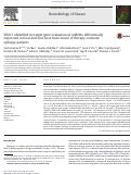 Cover page: SOX11 identified by target gene evaluation of miRNAs differentially expressed in focal and non-focal brain tissue of therapy-resistant epilepsy patients