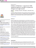 Cover page: Deletion of Mediator 1 suppresses TGFβ signaling leading to changes in epidermal lineages and regeneration