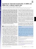 Cover page: Spontaneous ribosomal translocation of mRNA and tRNAs into a chimeric hybrid state