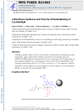 Cover page: Solid-phase synthesis and fluorine-18 radiolabeling of cycloRGDyK