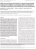 Cover page: DNA processing by the Kaposi's sarcoma-associated herpesvirus alkaline exonuclease SOX contributes to viral gene expression and infectious virion production