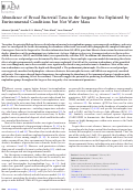 Cover page: Abundance of Broad Bacterial Taxa in the Sargasso Sea Explained by Environmental Conditions but Not Water Mass