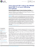 Cover page: Tumor-derived CSF-1 induces the NKG2D ligand RAE-1δ on tumor-infiltrating macrophages