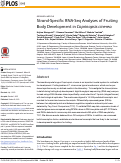 Cover page: Strand-Specific RNA-Seq Analyses of Fruiting Body Development in Coprinopsis cinerea