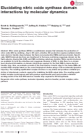 Cover page: Elucidating nitric oxide synthase domain interactions by molecular dynamics