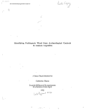 Cover page: Identifying Prehispanic Wood from Archaeological Contexts in Andean Argentina