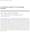 Cover page: Corrigendum: A perturbative perspective on self-supporting wormholes (2019 Class. Quantum Grav. 36 045006)