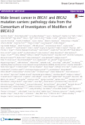 Cover page: Male breast cancer in BRCA1 and BRCA2 mutation carriers: pathology data from the Consortium of Investigators of Modifiers of BRCA1/2